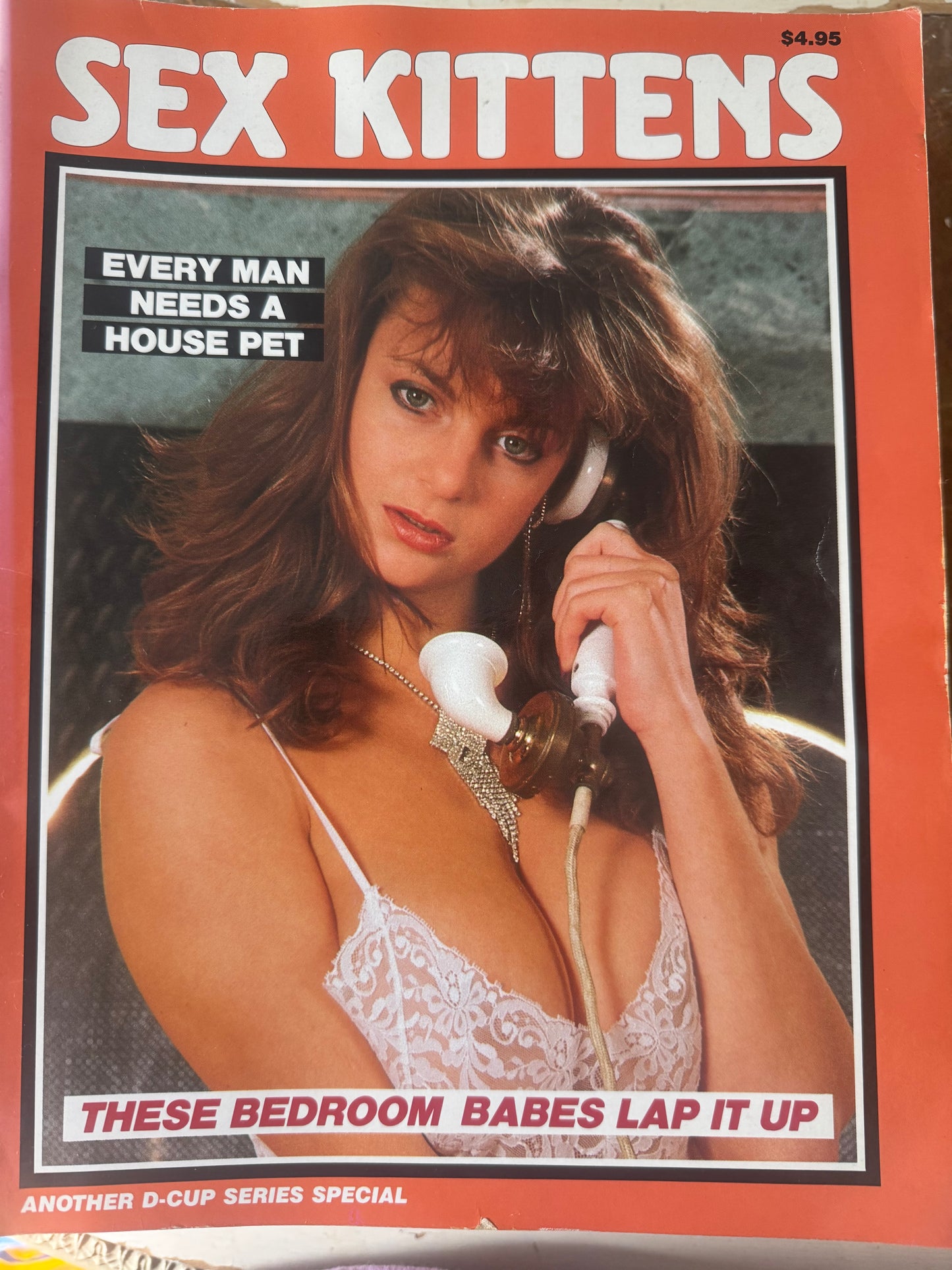 Vintage Sex Kittens Magazine D-Cup Series Special 80s Adult Pornographic Magazine